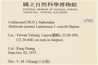 登錄號:A00007993藏品圖，第2張