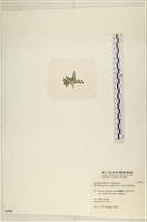 登錄號:A00007993藏品圖，第3張