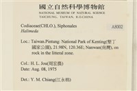 登錄號:A00008002藏品圖，第2張