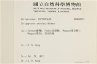 登錄號:A00008051藏品圖，第2張