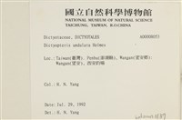 登錄號:A00008053藏品圖，第2張