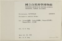 登錄號:A00008056藏品圖，第2張