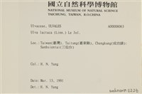 大石蓴, 石蓴藏品圖，第2張