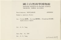 環蠕藻藏品圖，第2張