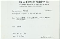 登錄號:A00008076藏品圖，第2張