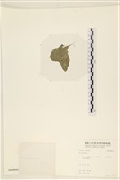 登錄號:A00008082藏品圖，第3張