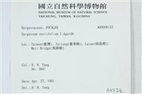 登錄號:A00008122藏品圖，第2張