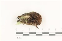 登錄號:A00008138藏品圖，第1張