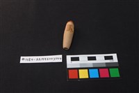 陶製網墜藏品圖，第2張