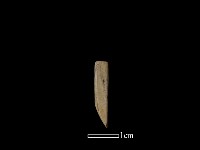 錛鑿形器藏品圖，第2張