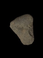 斧鋤形器藏品圖，第4張