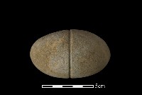 網墜藏品圖，第3張