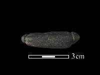 網墜藏品圖，第2張