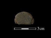 網墜藏品圖，第2張