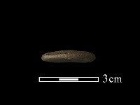 網墜藏品圖，第3張