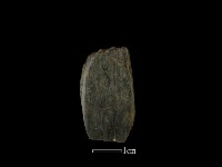 錛鑿形器藏品圖，第3張