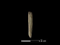 錛鑿形器藏品圖，第1張