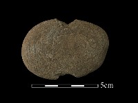 網墜藏品圖，第2張