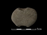 網墜藏品圖，第2張