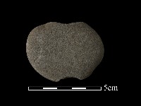 網墜藏品圖，第3張