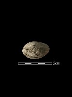 石鎚藏品圖，第4張