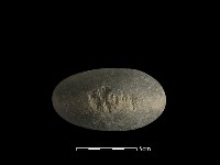 石鎚藏品圖，第1張