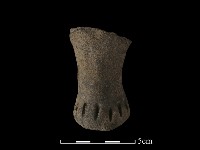 獸足藏品圖，第2張