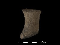 獸足藏品圖，第3張