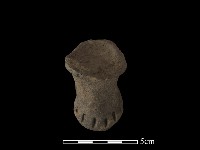 獸足藏品圖，第1張