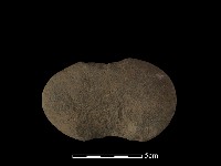 石鎚藏品圖，第1張