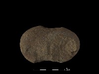 石鎚藏品圖，第2張