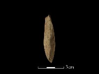 錛鑿形器藏品圖，第2張