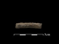 陶環藏品圖，第1張