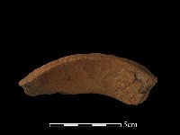 陶罐藏品圖，第3張