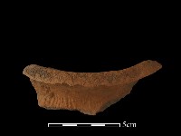 陶罐藏品圖，第1張