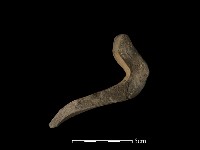 陶罐藏品圖，第3張