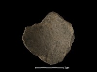 陶片藏品圖，第4張