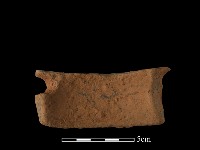 陶片藏品圖，第3張