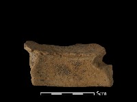 陶片藏品圖，第3張