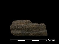 陶罐藏品圖，第2張