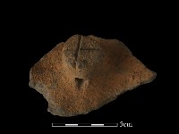 陶蓋鈕藏品圖，第4張