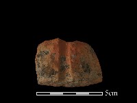 紡輪藏品圖，第3張