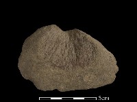 斧鋤形器藏品圖，第2張