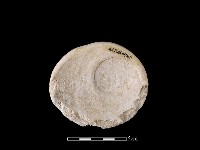 貝刮器藏品圖，第2張