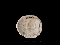 貝刮器藏品圖，第2張