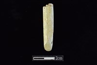 錛鑿形器藏品圖，第1張