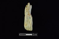 錛鑿形器藏品圖，第1張