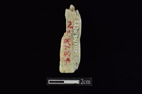 錛鑿形器藏品圖，第2張