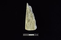 錛鑿形器藏品圖，第2張