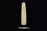 錛鑿形器藏品圖，第1張